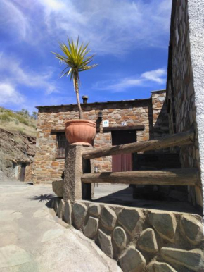Encina de Lorenzo 1